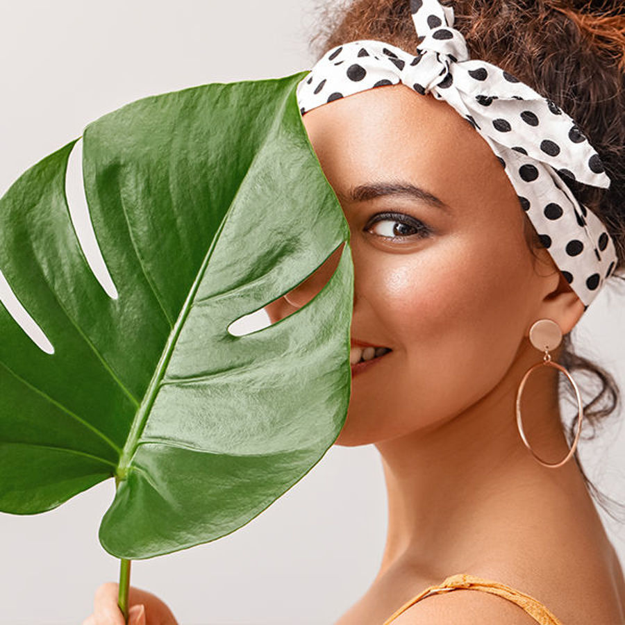 Thriving With Monstera: A Guide to Propagation and Proper Care